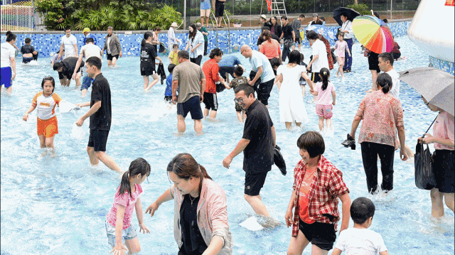深圳母亲节动图.gif